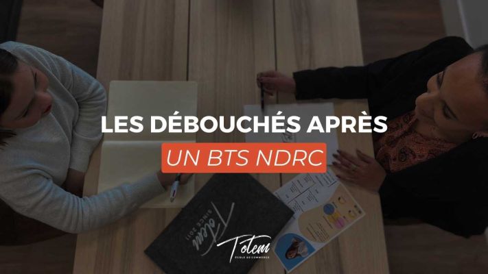 BTS NDRC (ex : NRC) : Les débouchés | TOTEM