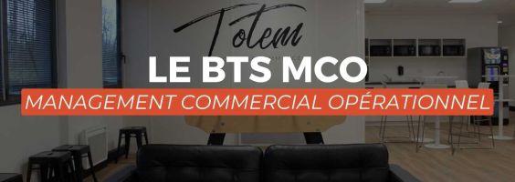 Le BTS MCO Management Commercial Opérationnel